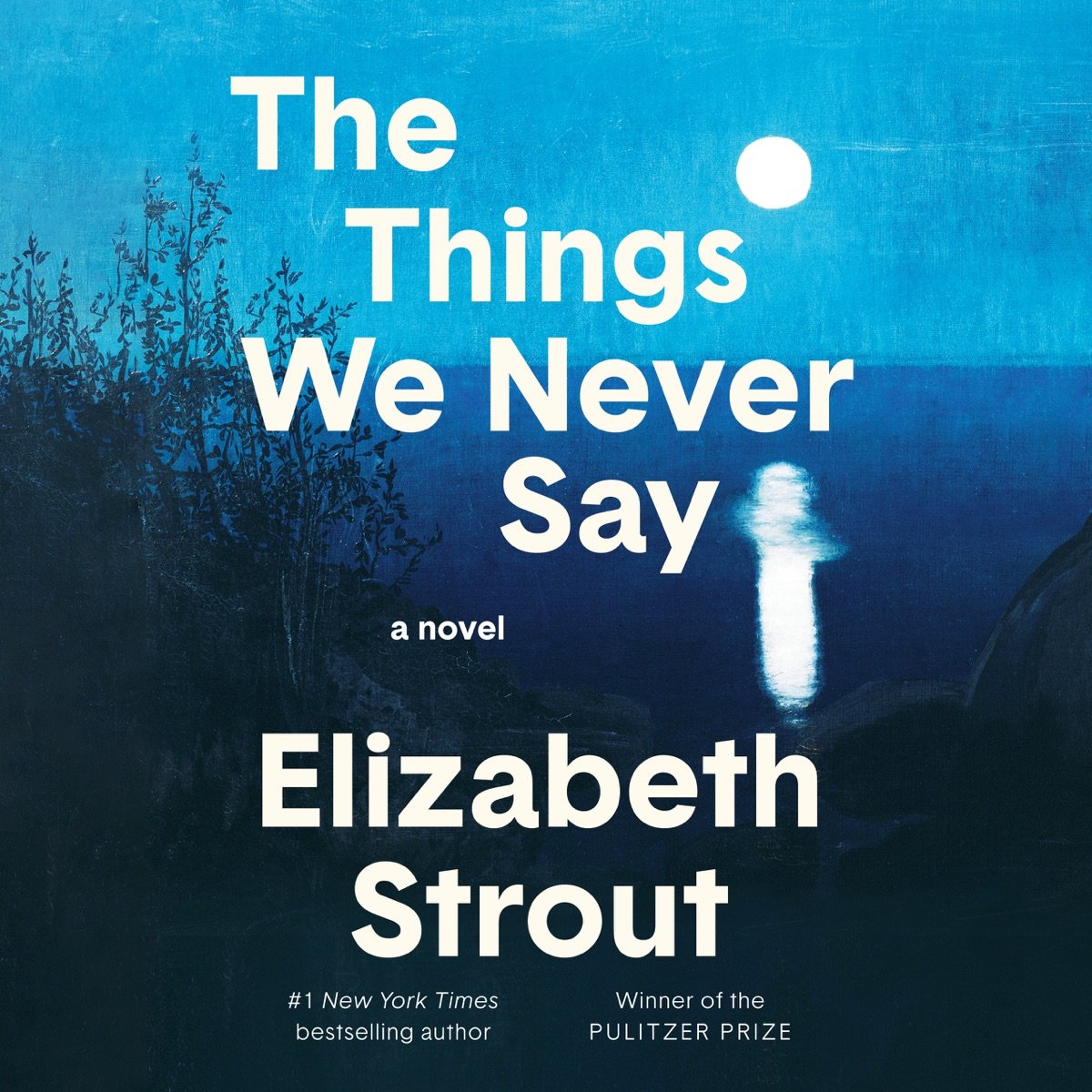 The Things We Never Say: A Novel (Unabridged) The Things We Never Say: A Novel (Unabridged) - Image 1